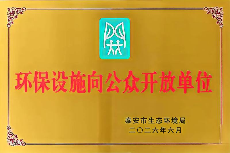 图片13