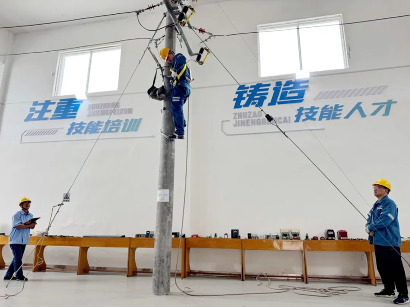 图片15