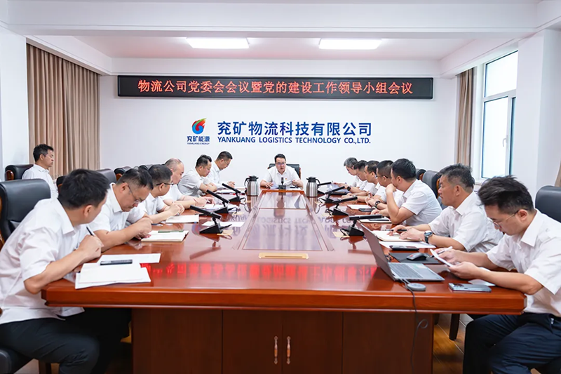 图片8