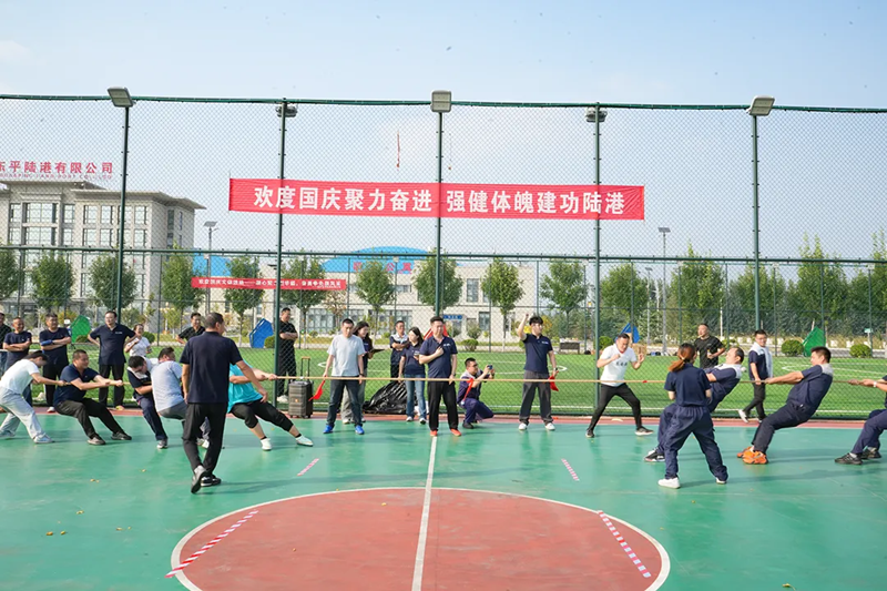 图片31