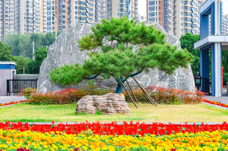图片17