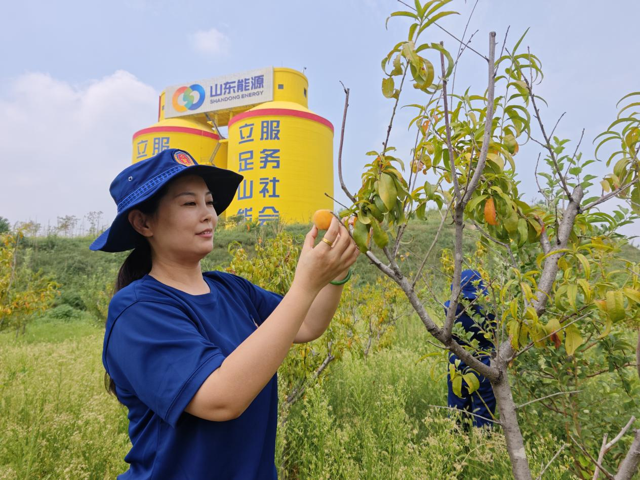 图片 1.png
