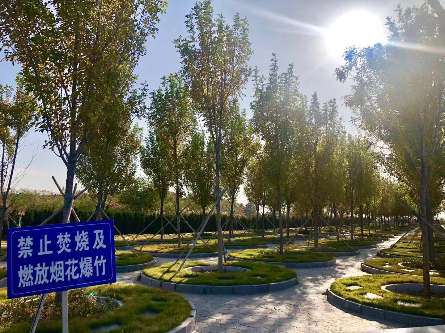 微信图片_20230403174754