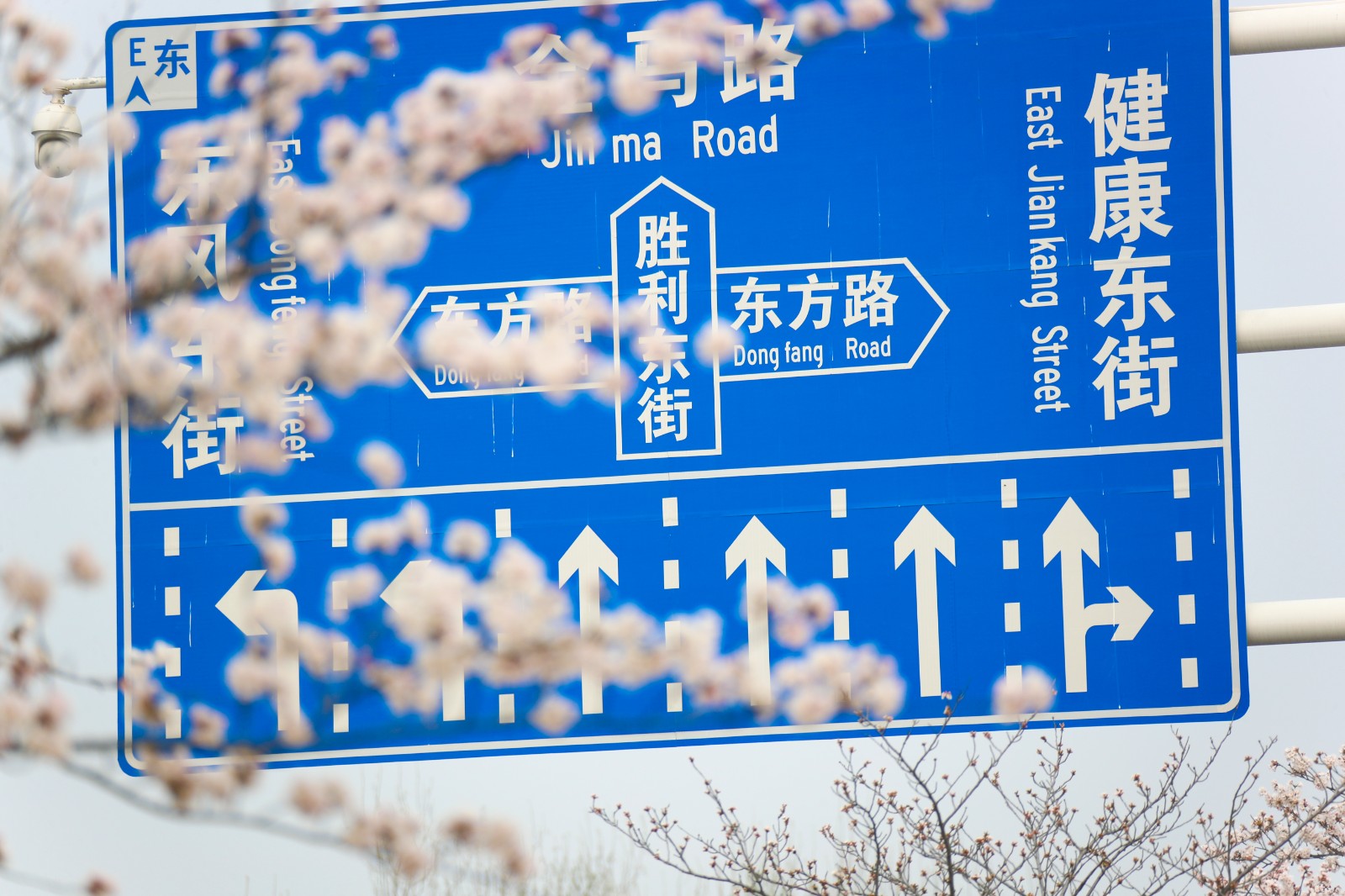 A82I0219