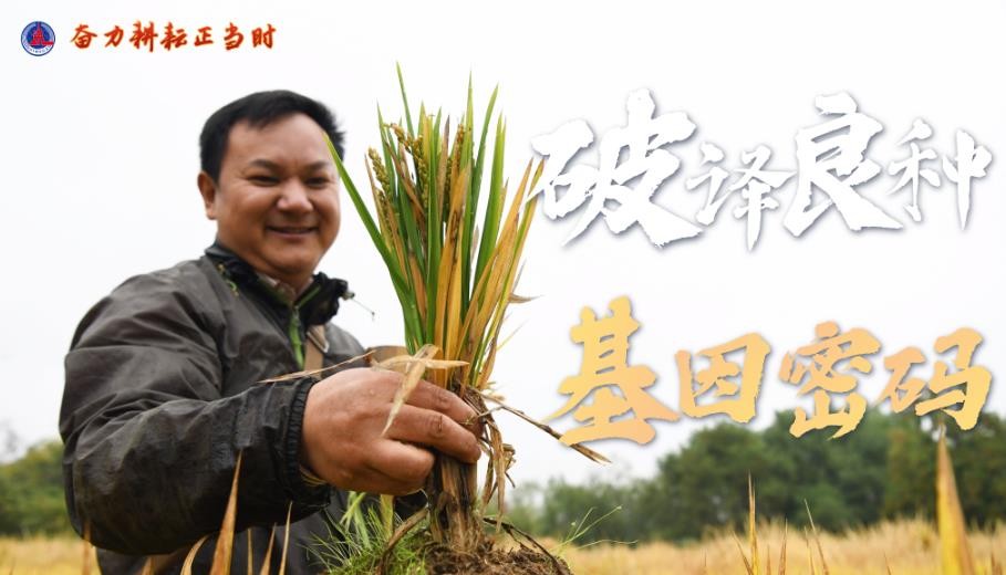 搜狗截图23年04月17日1023_5