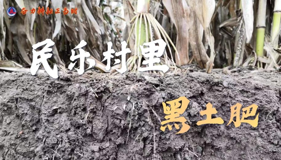 搜狗截图23年04月17日1023_6