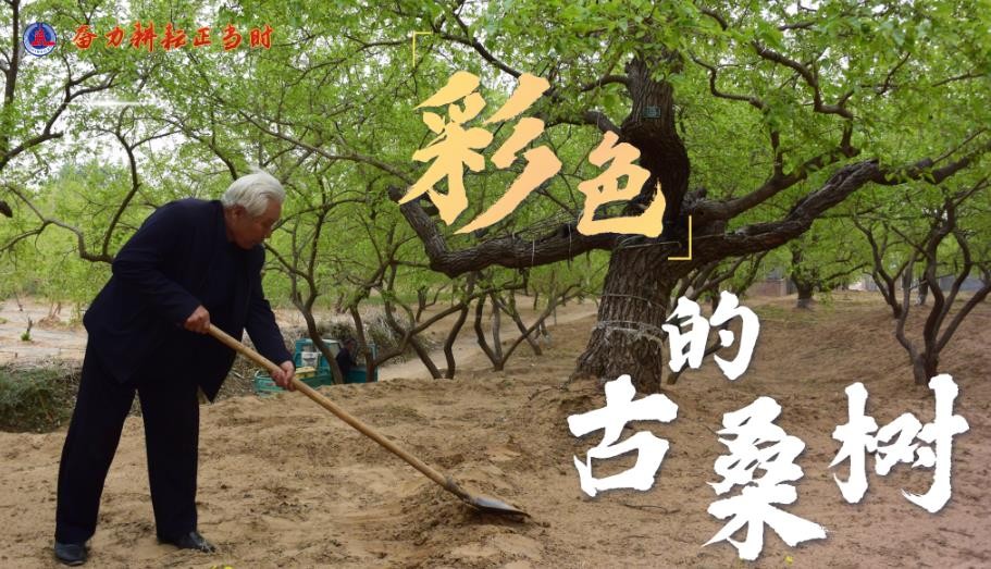 搜狗截图23年04月17日1024_8