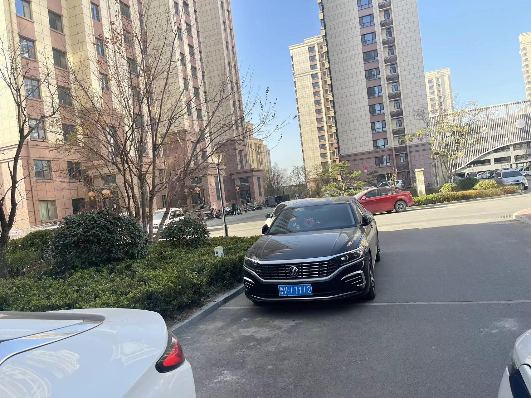 图片6