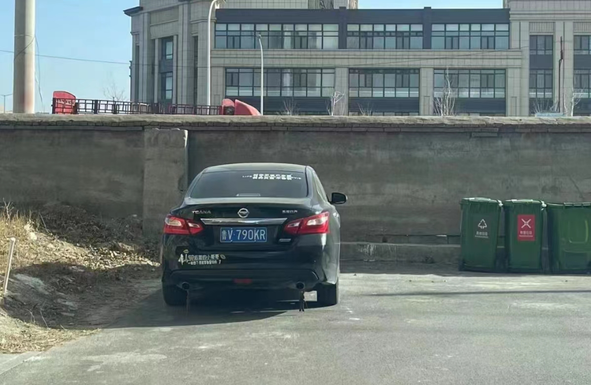 图片4