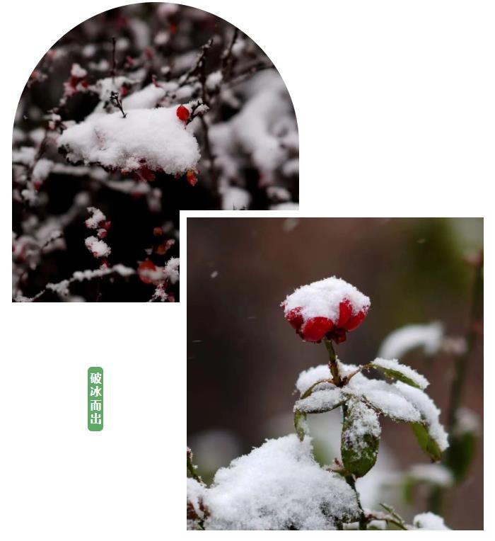 搜狗截图24年02月28日0850_3