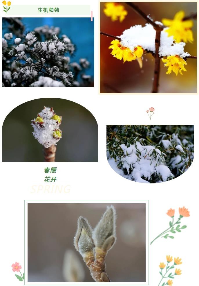 搜狗截图24年02月28日0849_2