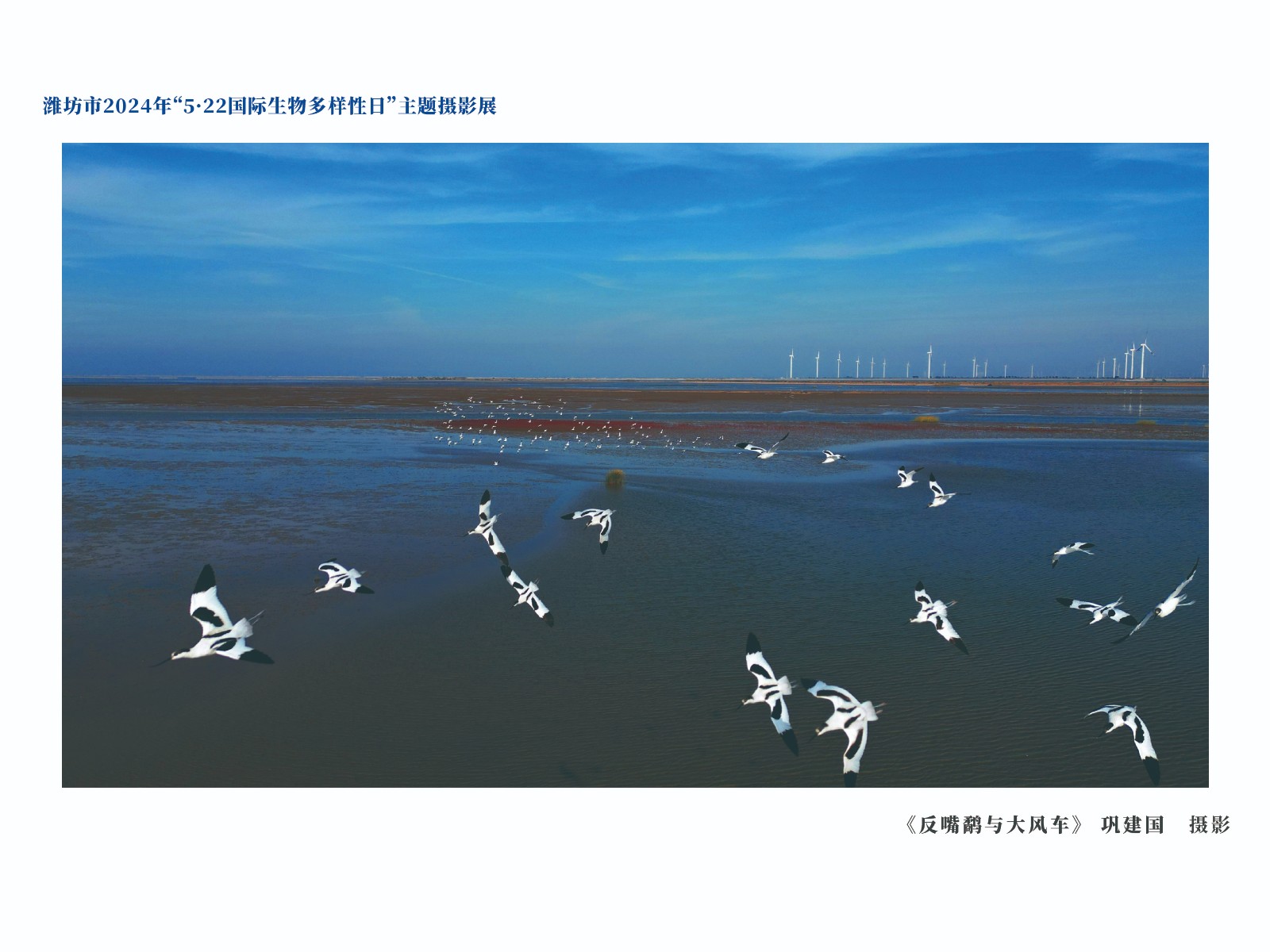展板-14