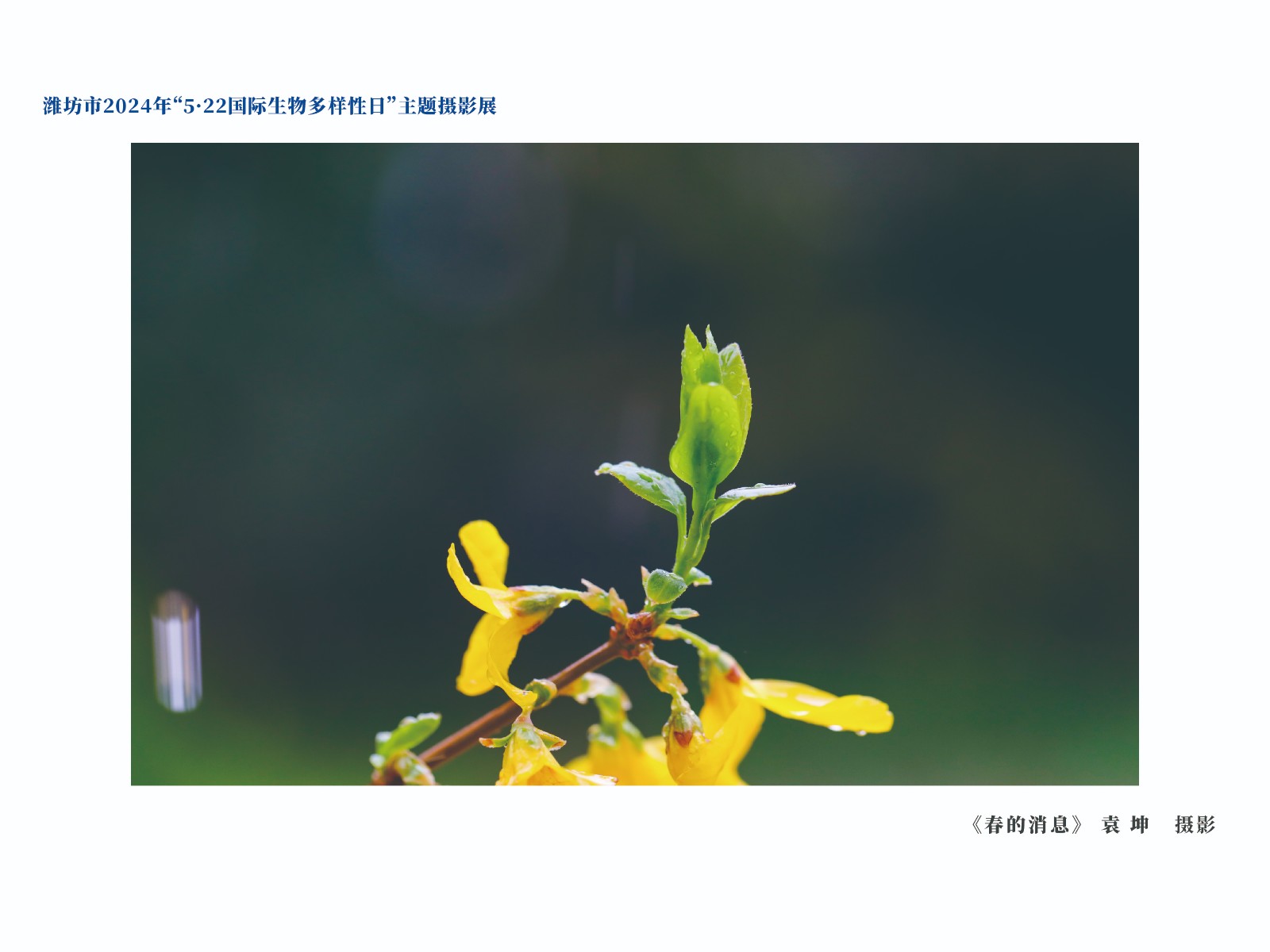 展板-12