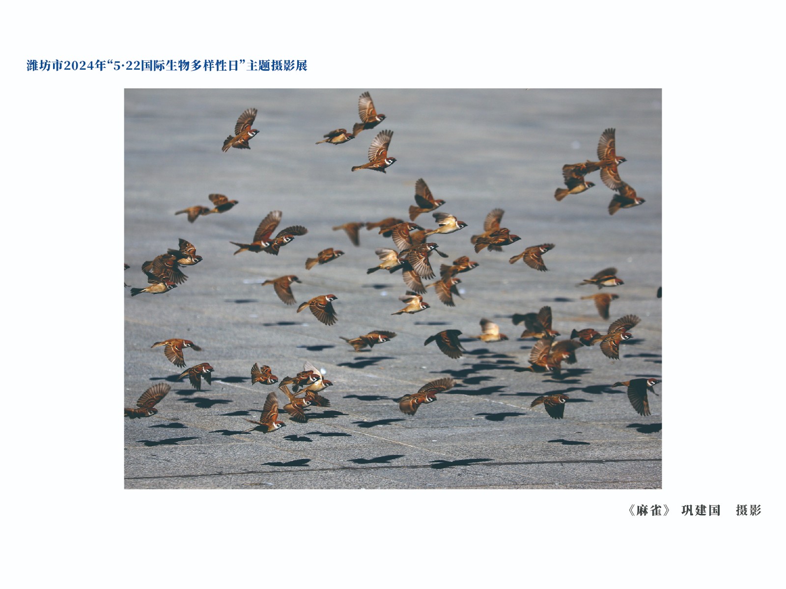 展板-20