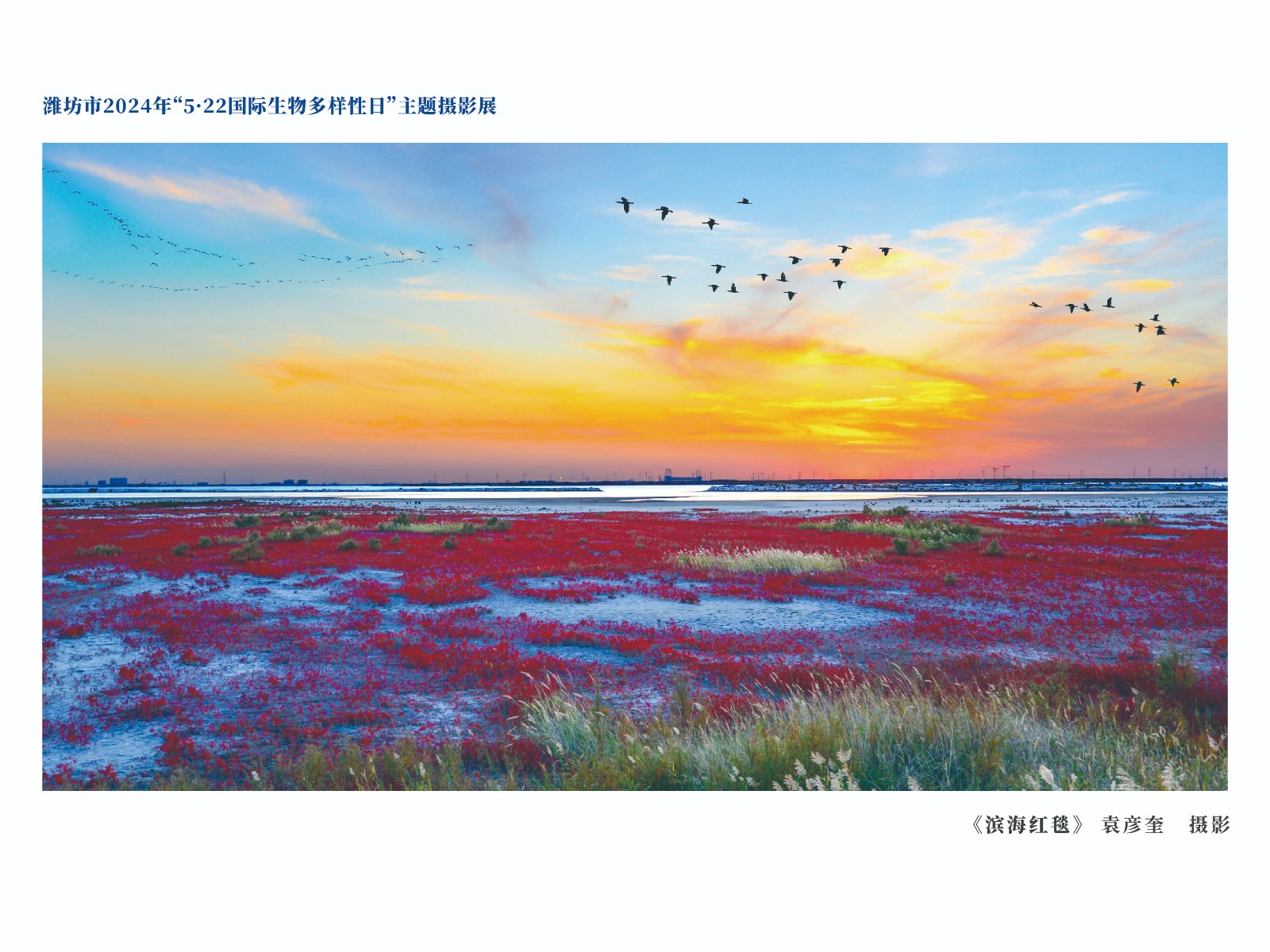 展板-01