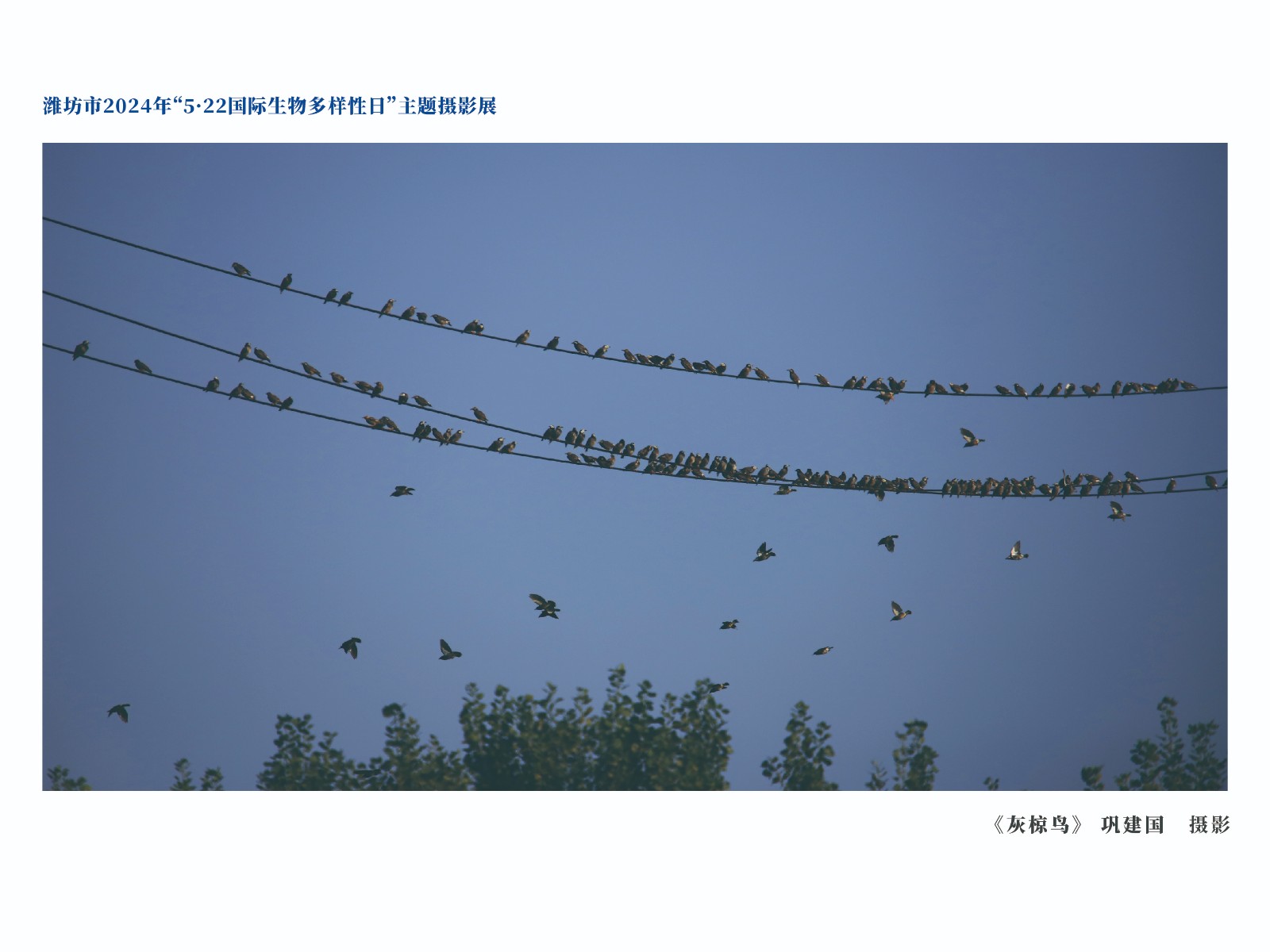 展板-18