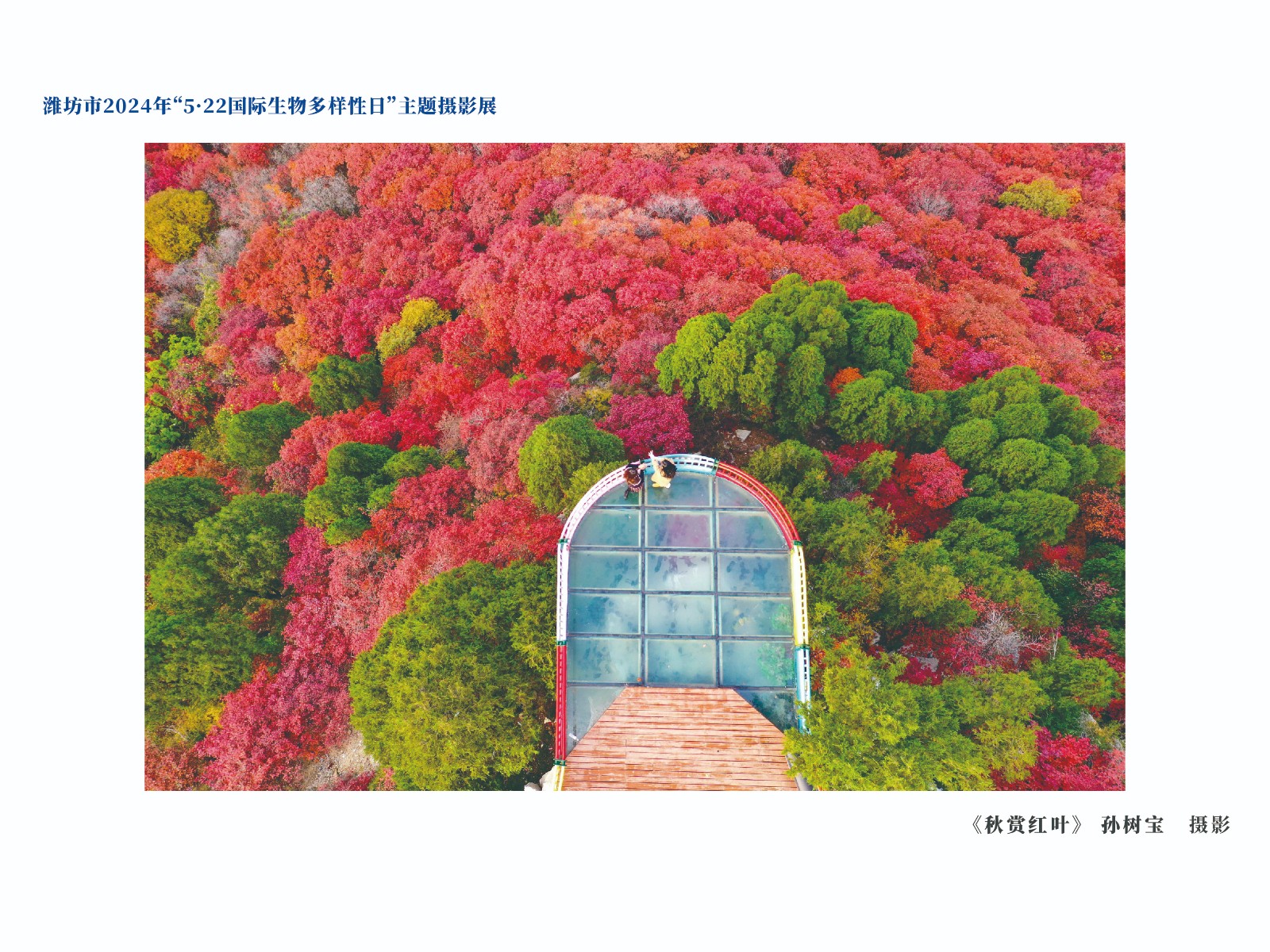展板-24