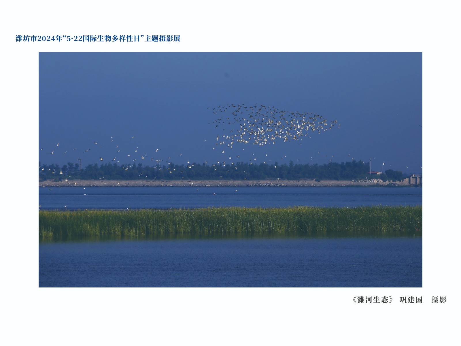 展板-30