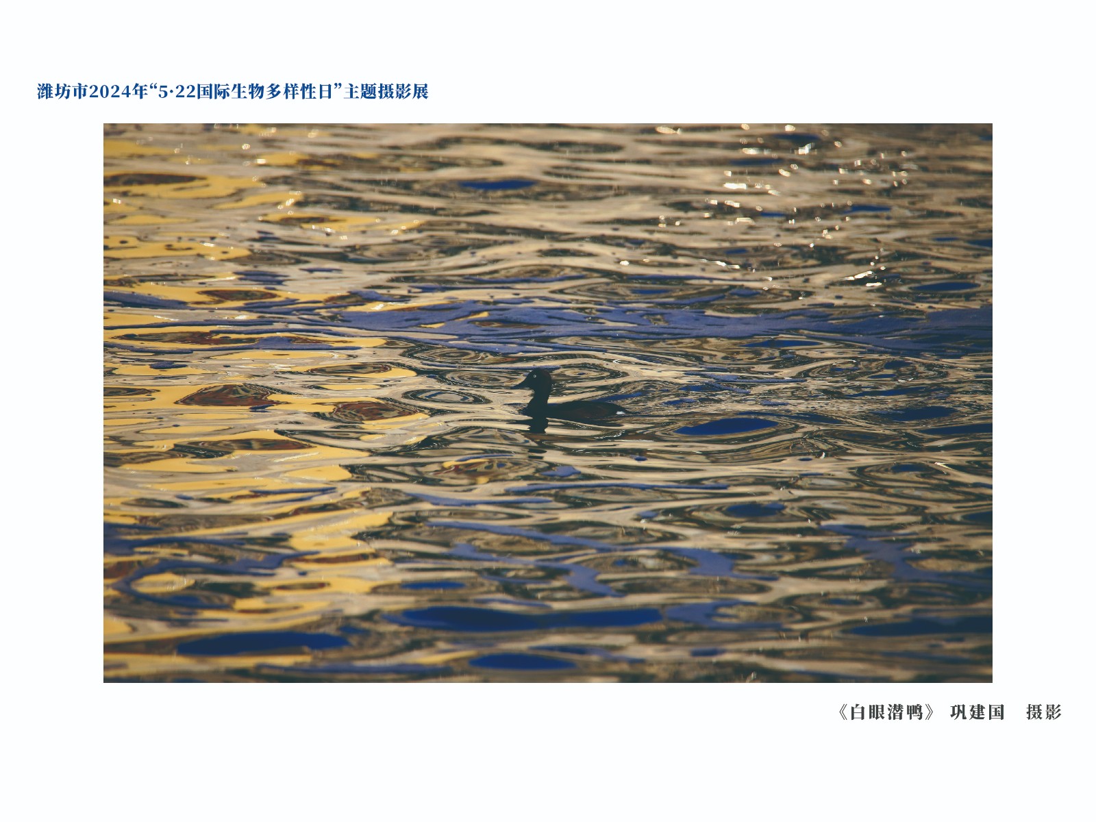 展板-05