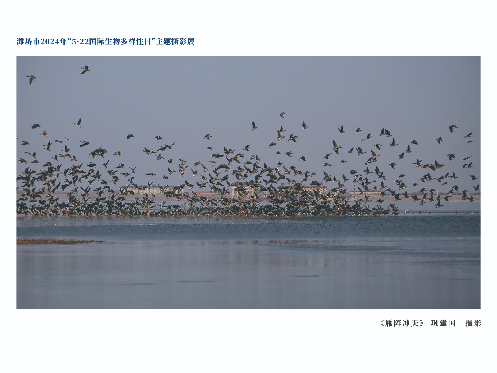 展板-36