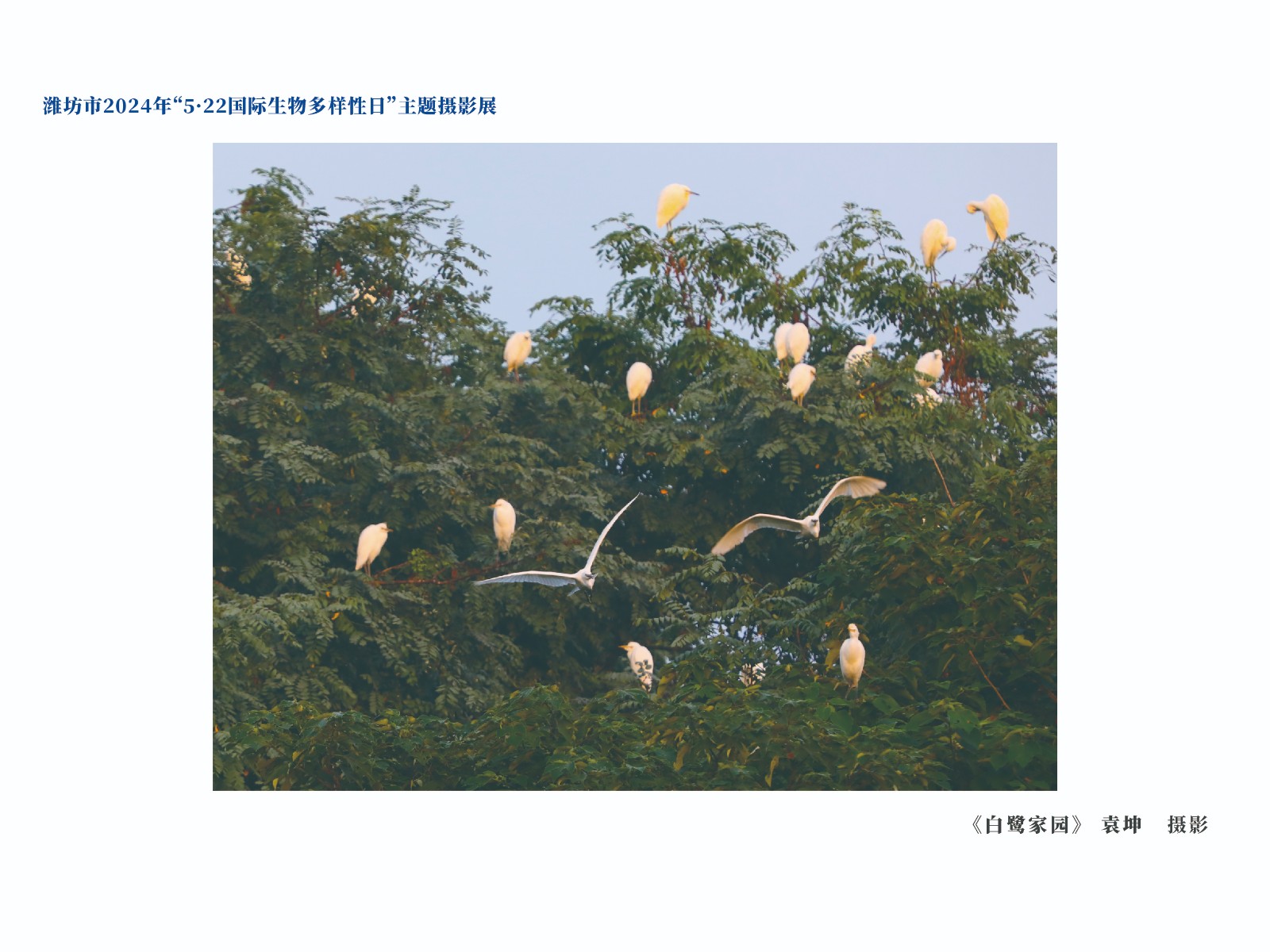 展板-04