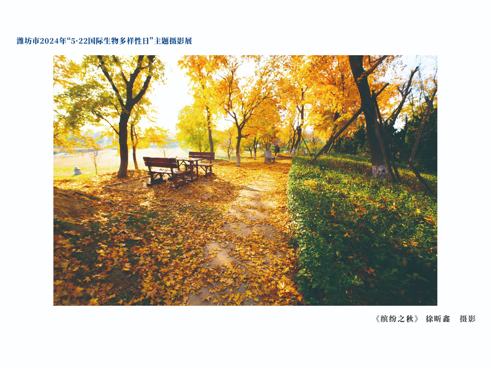 展板-06