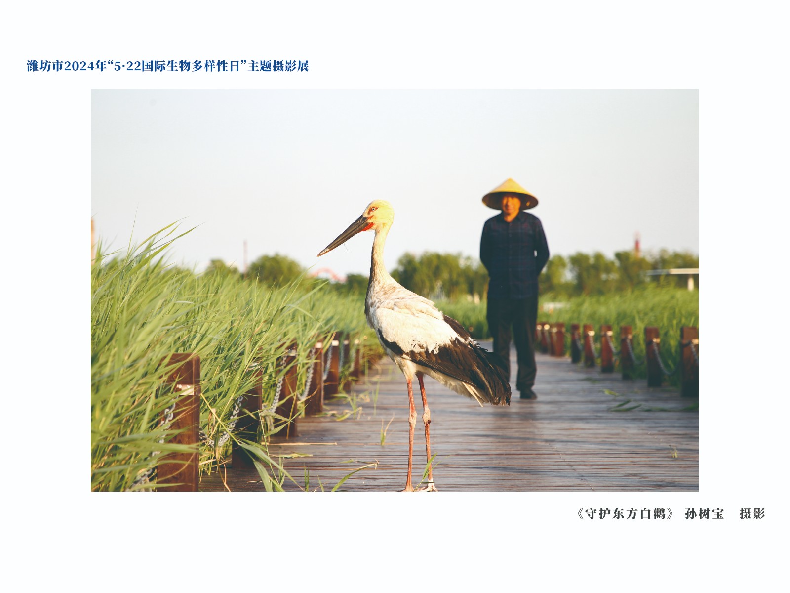 展板-26