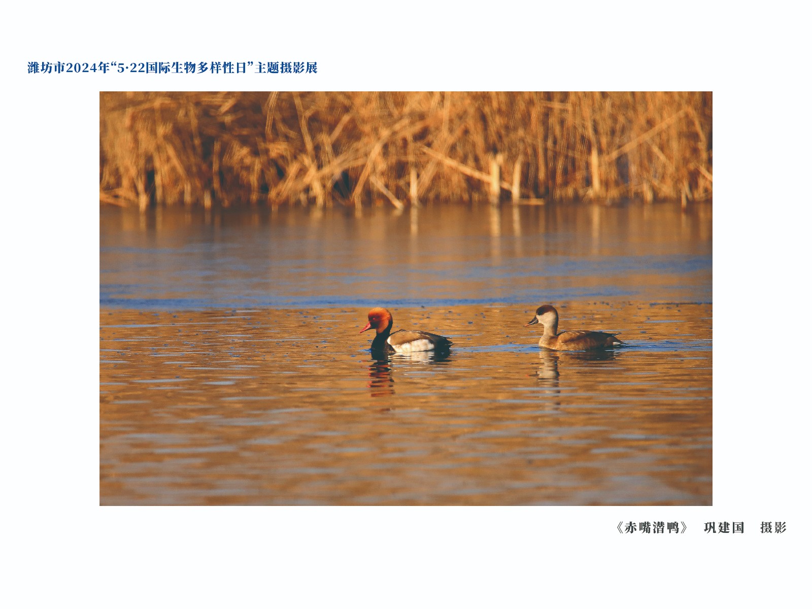 展板-10