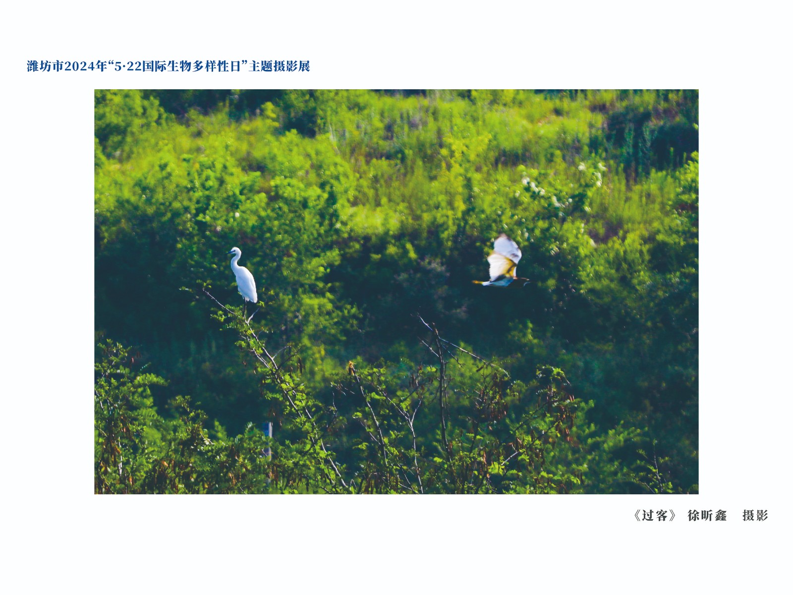 展板-16