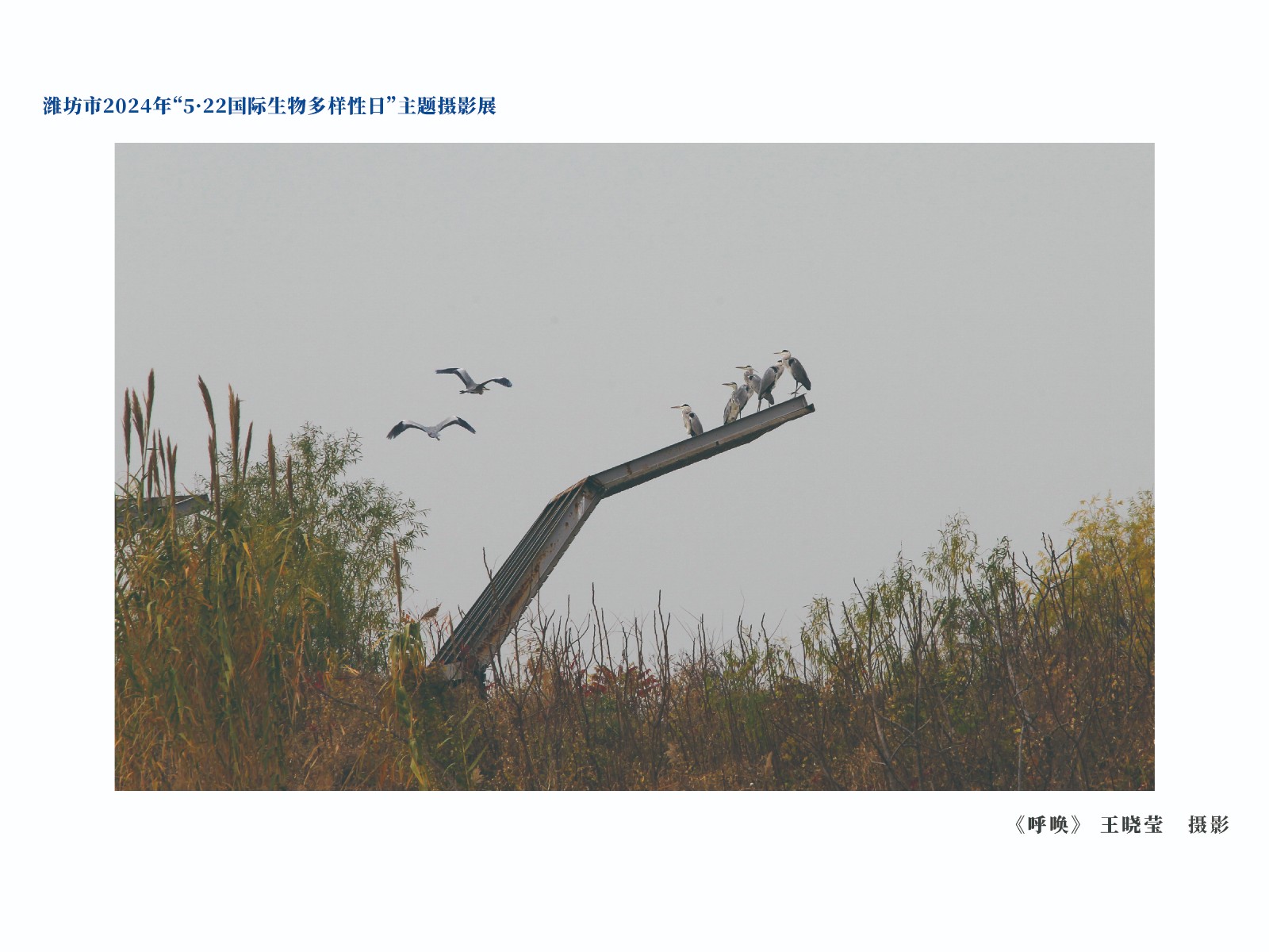 展板-17