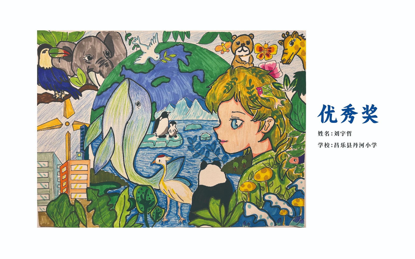 手绘展-13