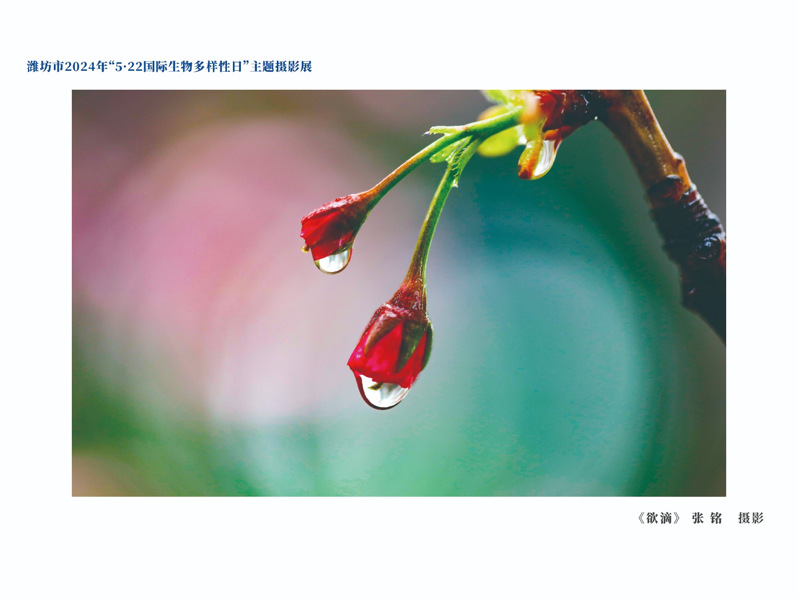 展板-37