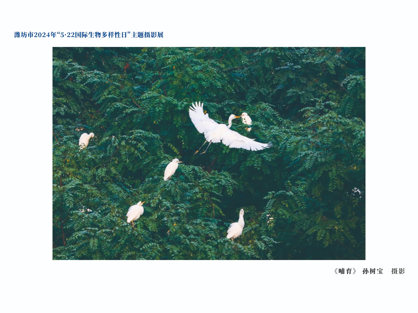展板-07