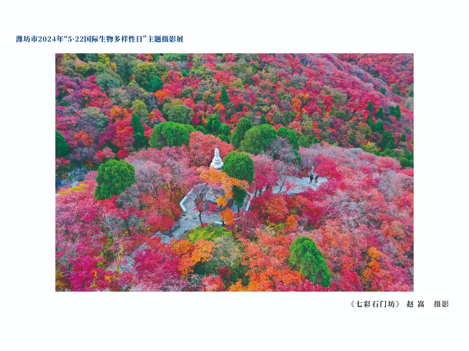 展板-21