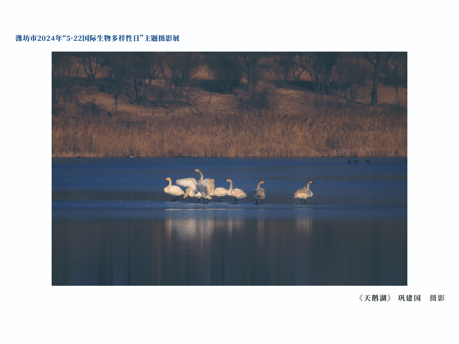 展板-28
