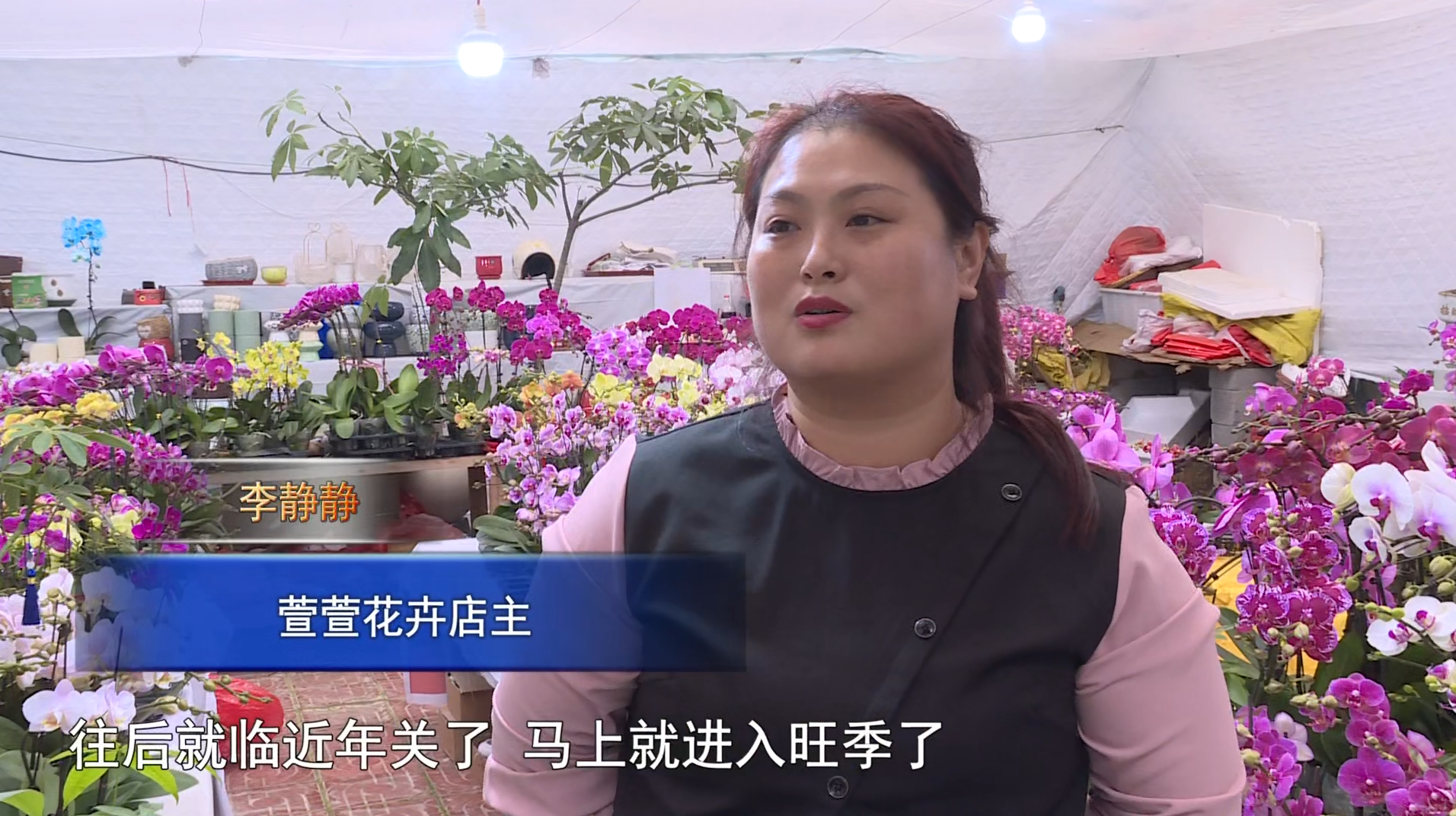 微信图片_20241225082608