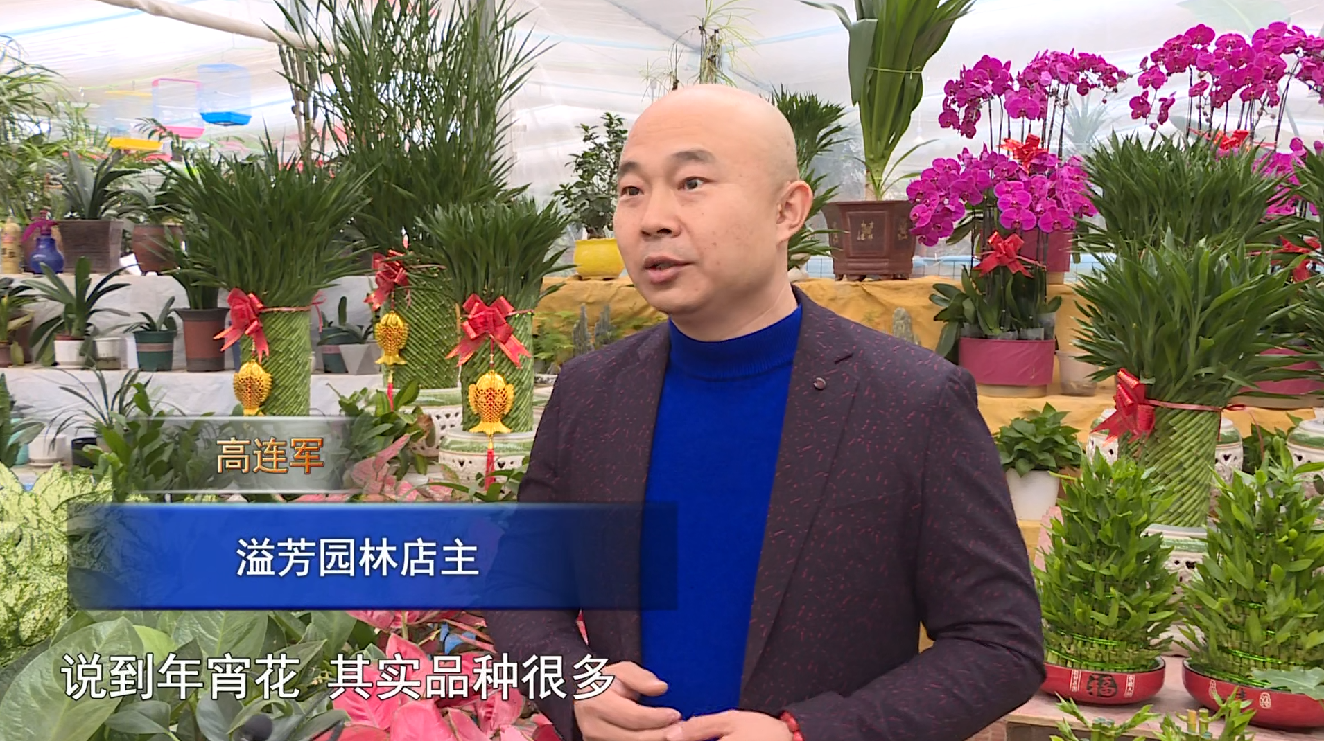 微信图片_20241225082531