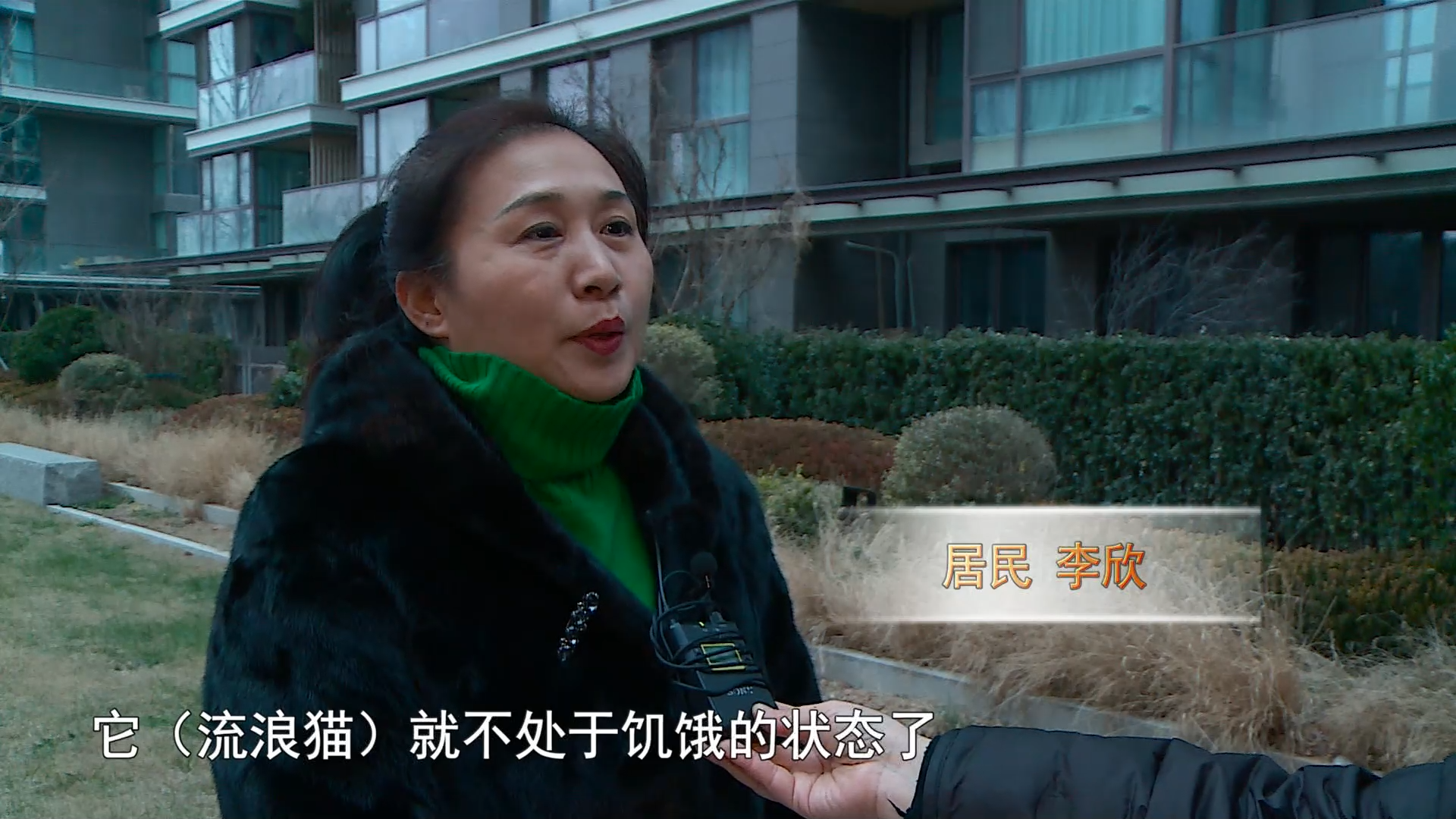 微信图片_20250108082254