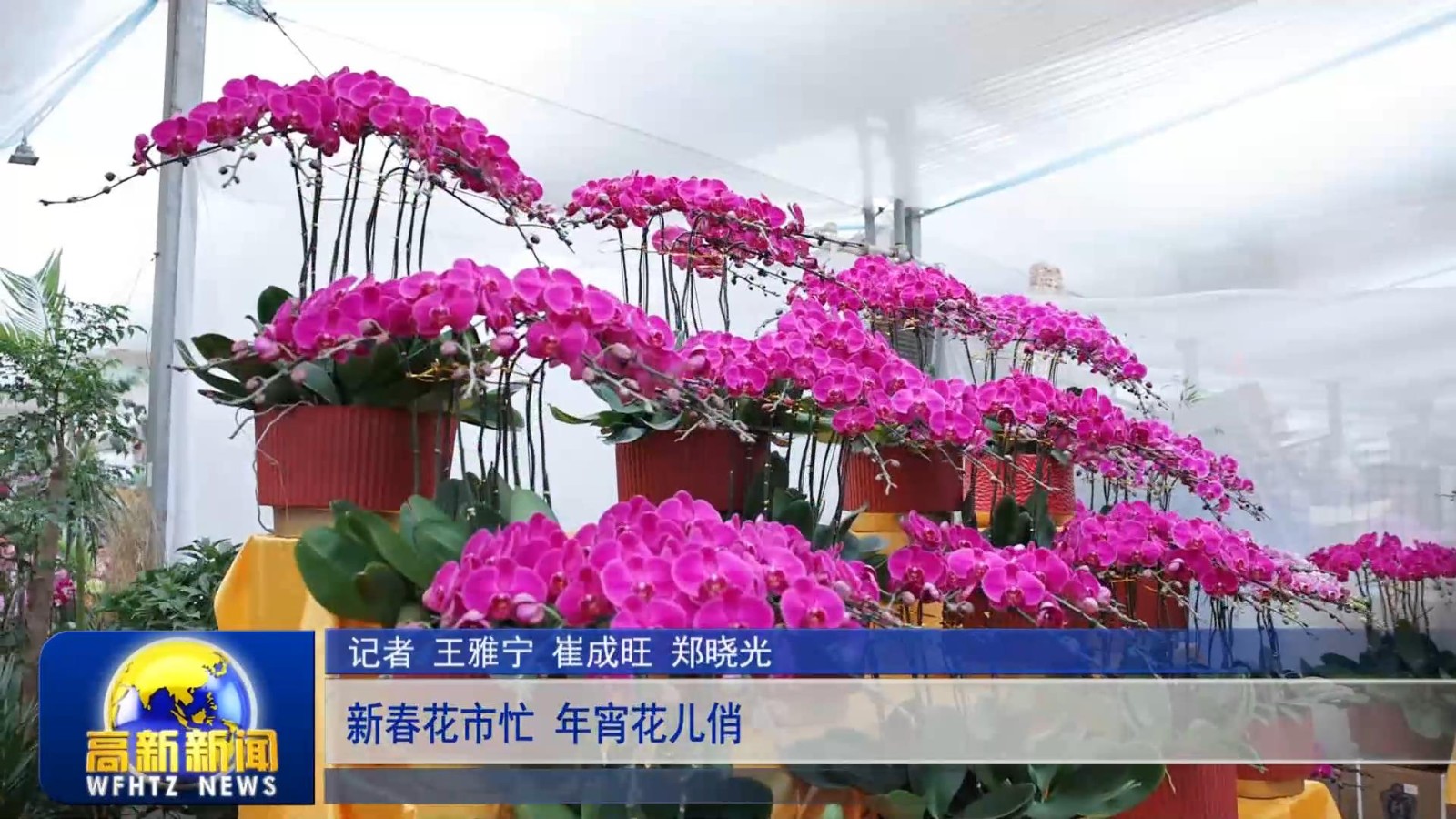 高新新闻