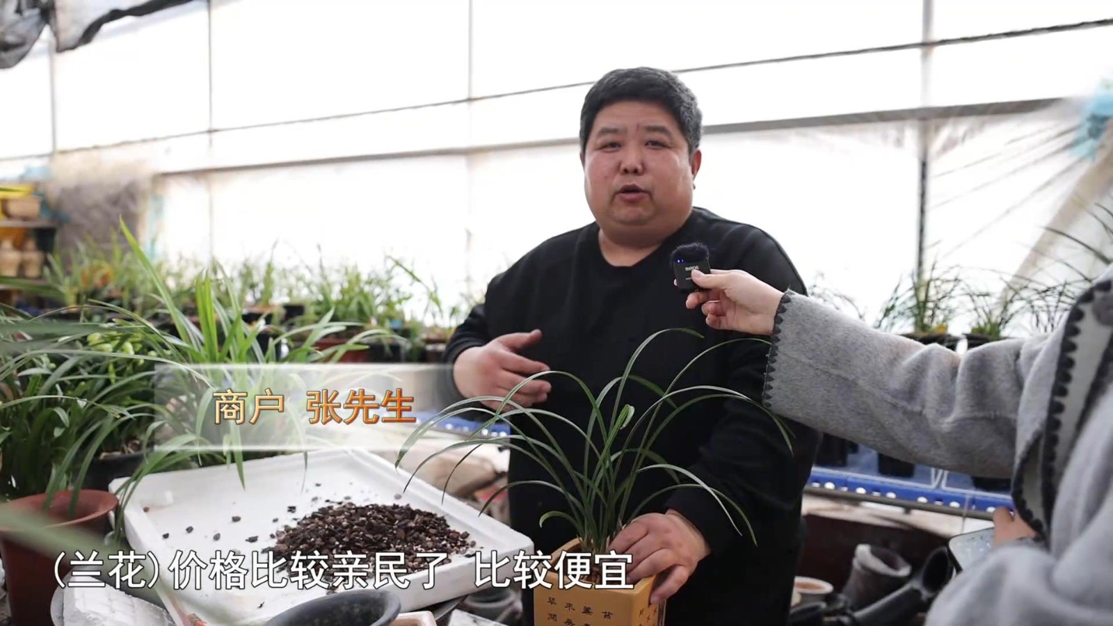 高新新闻