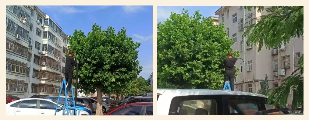 微信截图_20250828203904