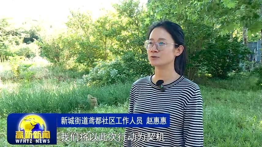 高新新闻