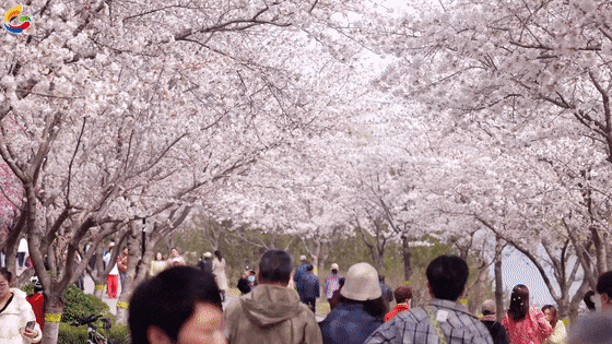 4月1日[00-00-02--00-00-06].gif