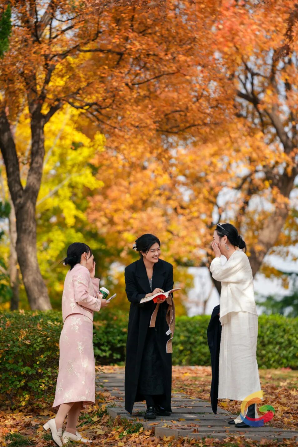 undefined 微信图片_20251107151954_1367_41.jpg