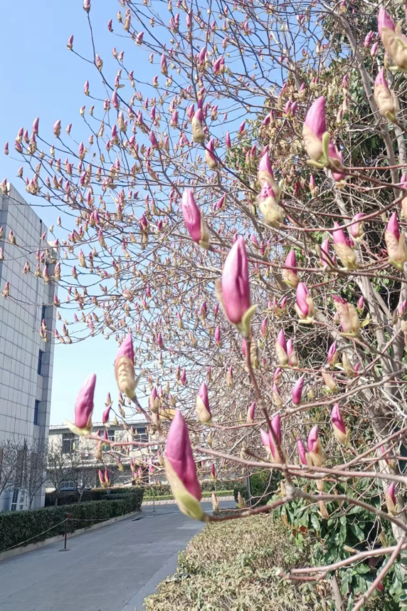 微信图片_20240326093412