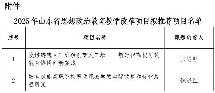 2025年山东省思想政治教育教学改革项目拟推荐项目公示