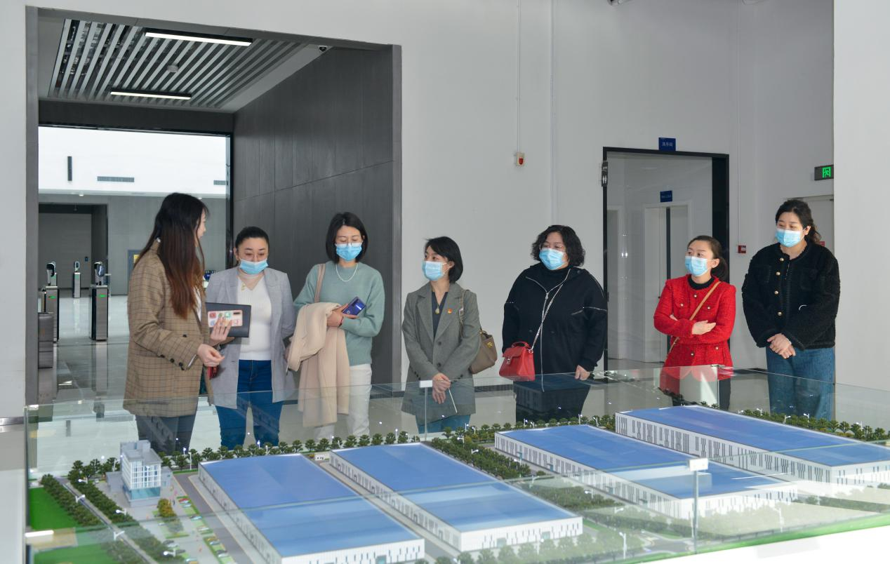 新闻传播系电商直播教师团队前往博科集团调研座谈