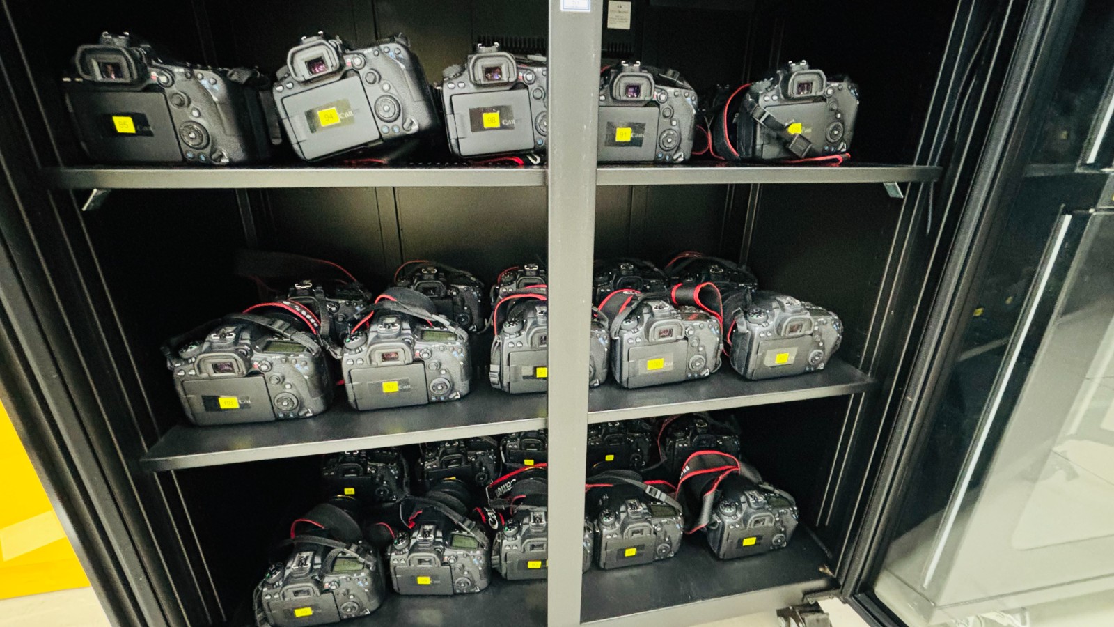 mmexport1736230635746