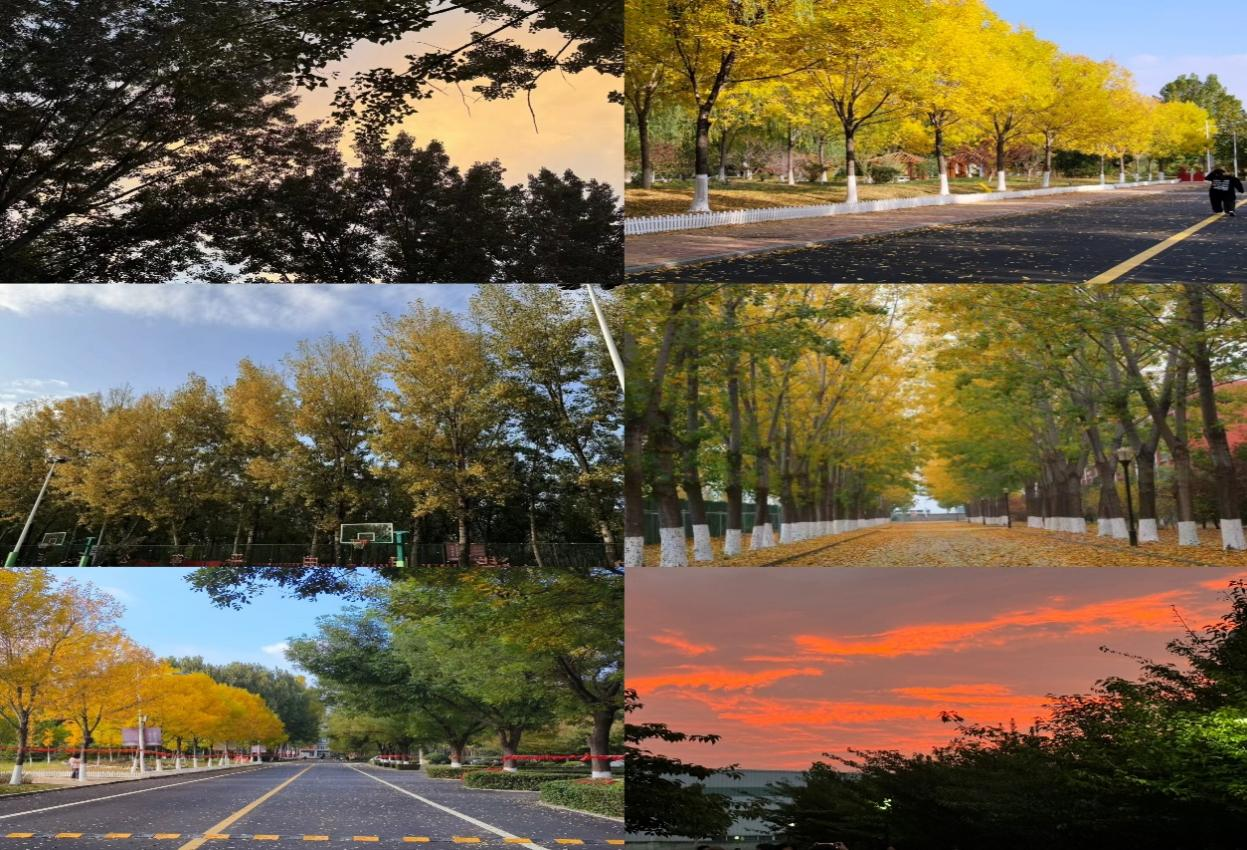 镜寻秋韵，定格美好