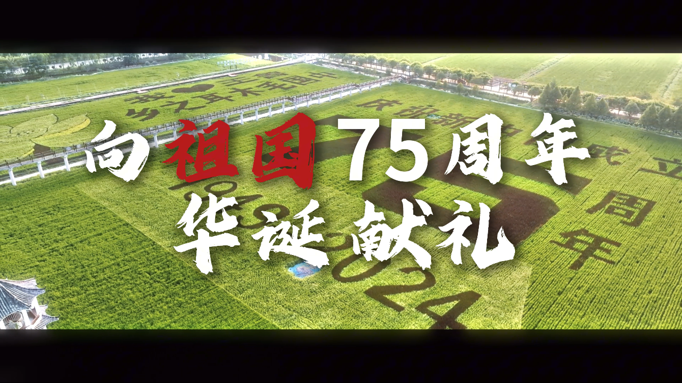 青春献礼祖国——这是我们在稻田里写下的故事